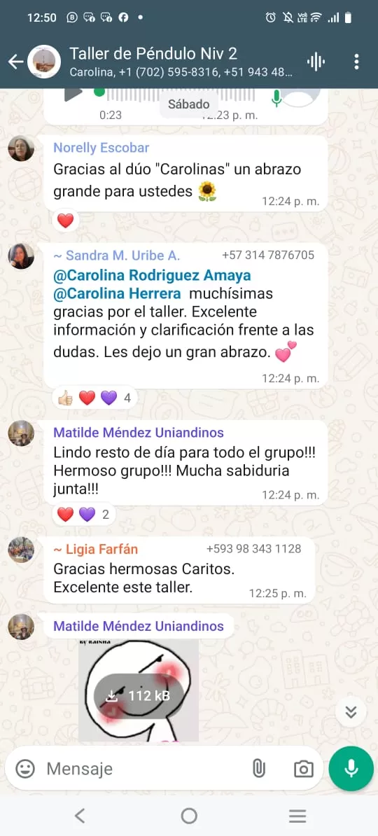 Imagen-de-WhatsApp-2024-12-13-a-las-07.23.33_27eb9060