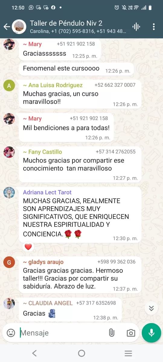 Imagen-de-WhatsApp-2024-12-13-a-las-07.23.33_54954d9d