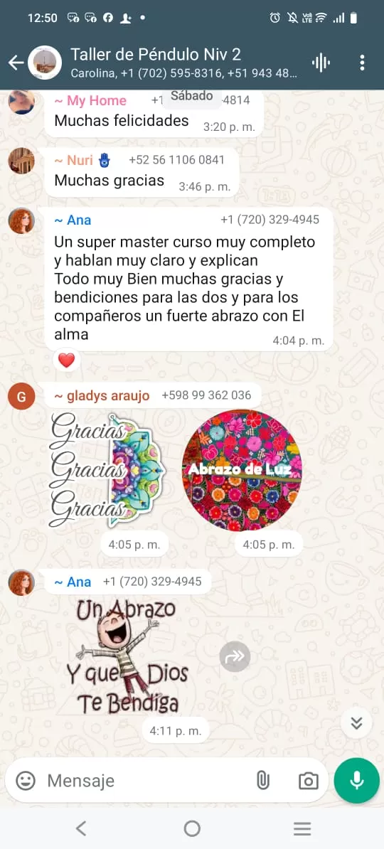 Imagen-de-WhatsApp-2024-12-13-a-las-07.23.34_2f8ebd17