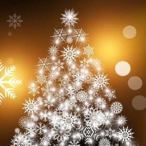 Activación de Solsticio y Espíritu de la Navidad